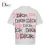 Dior T-Shirt - Paint Stroke Logo