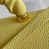 LV Twist MM Ginger Yellow For Women, Women¡¯s Handbags, Shoulder And Crossbody Bags 9.1in/23cm LV