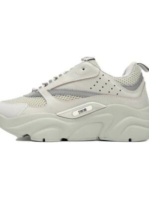 DIOR B22 GREY