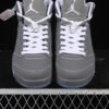 JORDAN 5 x WOLF GREY
