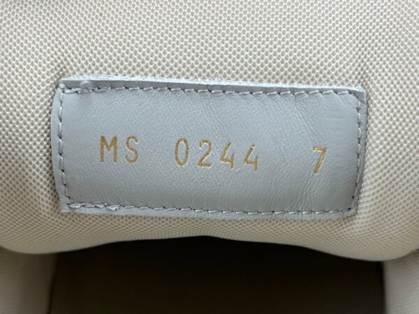 LOUIS VUITTON LV TRAINER SNEAKER