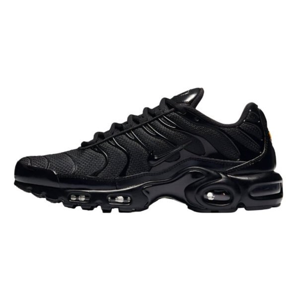 NIKE AIR MAX PLUS x TRIPLE BLACK