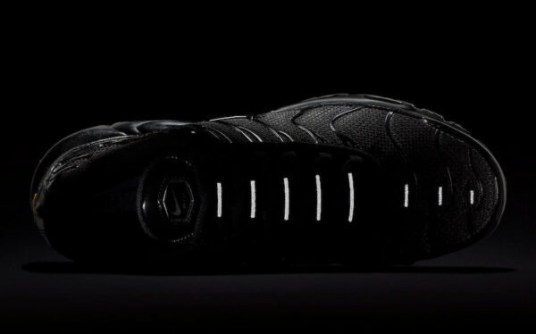 NIKE AIR MAX PLUS x TRIPLE BLACK