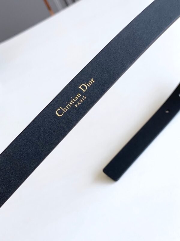 Luxury DIR BELTS 020