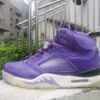 Air Jordan 5 "Purple Grape"