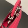 FI Peekaboo ISeeU Petite Pink Bag Small For Woman 20cm/8in