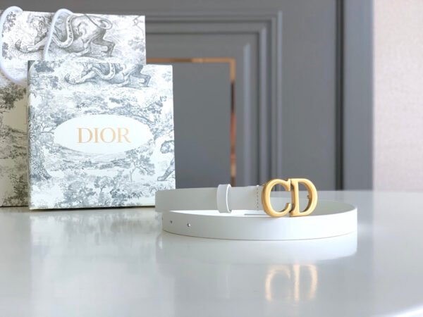 Luxury DIR BELTS 017