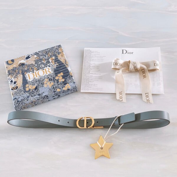 Luxury DIR BELTS 011