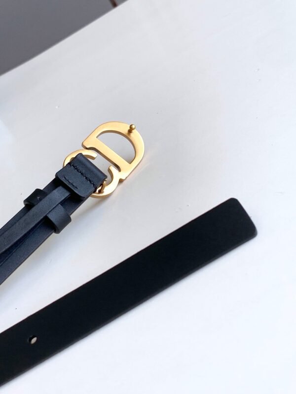 Luxury DIR BELTS 020