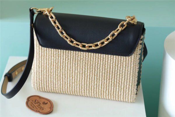 LV Twist MM Raffia Black For Women,  Shoulder And Crossbody Bags 9.1in/23cm LV?