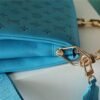 LV Coussin PM Monogram Blue For Women, Women¡¯s Bags, Shoulder And Crossbody Bags 10.2in/26cm LV?