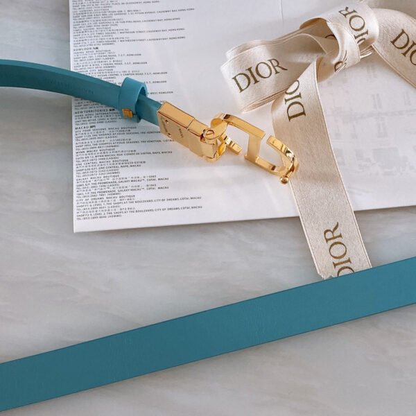Luxury DIR BELTS 008