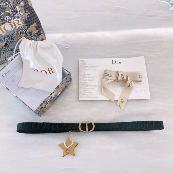 Luxury DIR BELTS 014