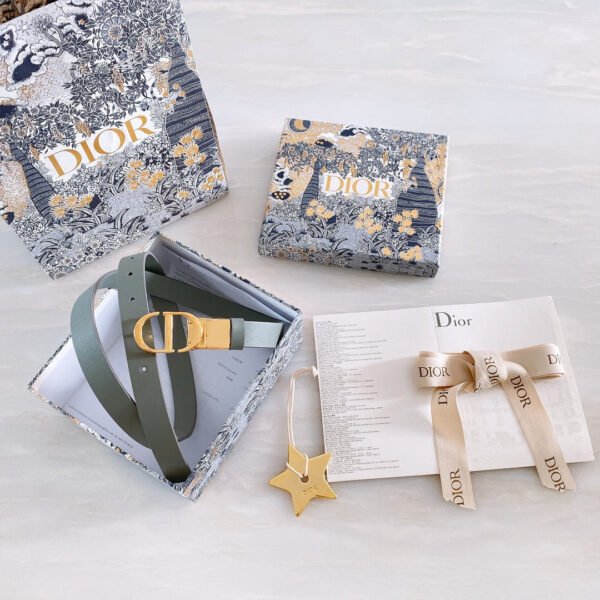 Luxury DIR BELTS 011