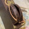 LV Blois Monogram Canvas For Women, WoBags, WoShoulder Bags 9.8in/25cm LV M51221