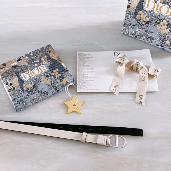 Luxury DIR BELTS 009