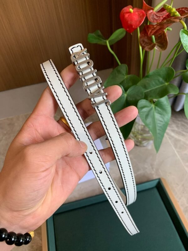 Luxury DIR  BELTS 003