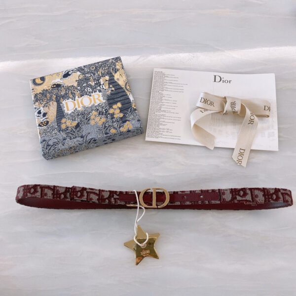 Luxury DIR BELTS 015