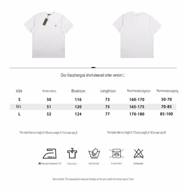 Dior T-shirt with Minimalist Logo (White)