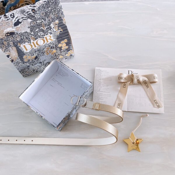 Luxury DIR BELTS 013