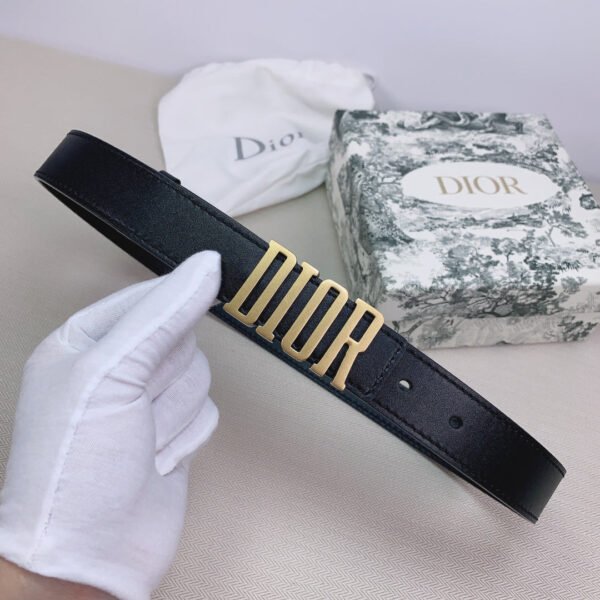 Luxury DIR BELTS 016