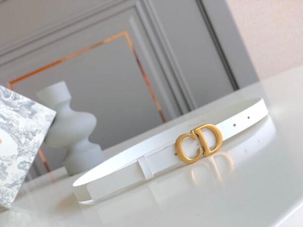 Luxury DIR BELTS 017