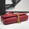 YSSL Kate Tassel Small Shoulder Bag Red For Women 10.2in/26cm YSL?