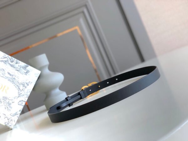 Luxury DIR BELTS 020