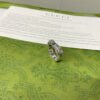 Double G Tiger Head Chain Ring