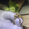 18K Panth¨¨re De Diamond Ring