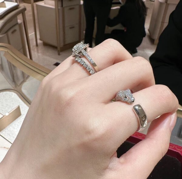 18K Panth¨¨re De Ring