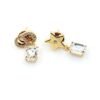 18K CD Star Crystals Earrings