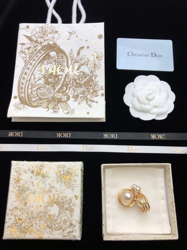 18K CD D-Backstage Earrings