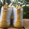 JORDAN 12 RETRO x RAY ALLEN SONICS PE