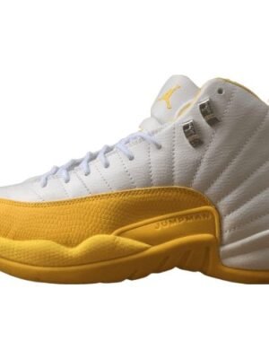 JORDAN 12 RETRO x RAY ALLEN SONICS PE