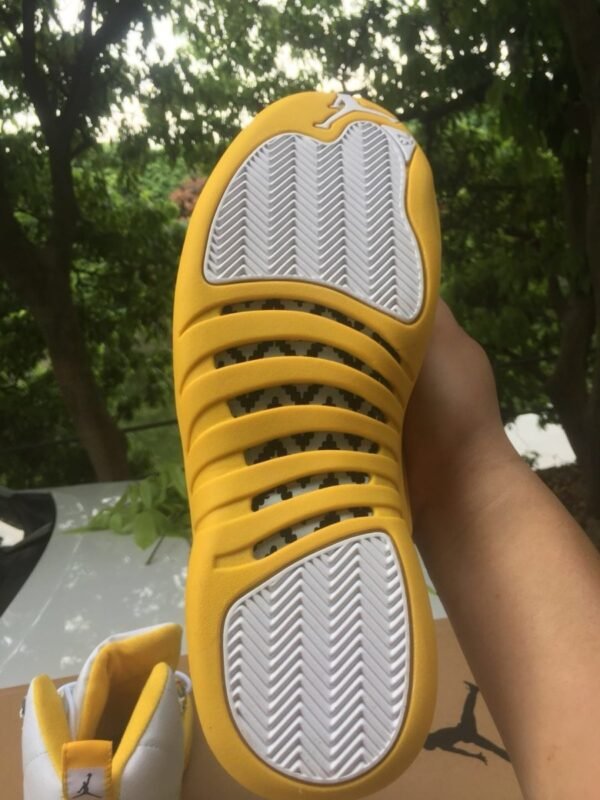 JORDAN 12 RETRO x RAY ALLEN SONICS PE