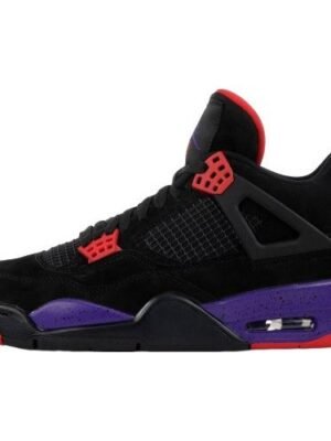 JORDAN 4 x RAPTORS DRAKE OVO