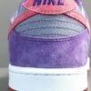 NIKE DUNK x PLUM