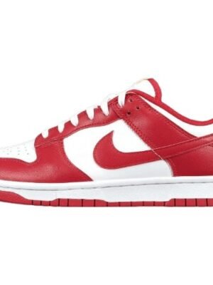 NIKE DUNK x USC