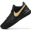 NIKE LEBRON 20 x BLACK GOLD