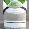 NIKE SB DUNK x CHLOROPHYLL