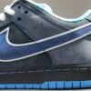 nike-sb-dunk-x-concepts-blue-lobster-437317 NIKE SB DUNK x CONCEPTS BLUE LOBSTER