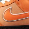 NIKE SB DUNK x CONCEPTS ORANGE LOBSTER