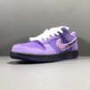 NIKE SB DUNK x CONCEPTS PURPLE LOBSTER