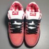 NIKE SB DUNK x CONCEPTS RED LOBSTER