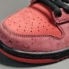 NIKE SB DUNK x CONCEPTS RED LOBSTER