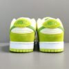NIKE SB DUNK x GREEN APPLE