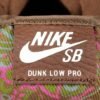 NIKE SB DUNK x PAISLEY BROWN