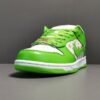 NIKE SB DUNK x SUPREME STARS MEAN GREEN