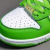 NIKE SB DUNK x SUPREME STARS MEAN GREEN